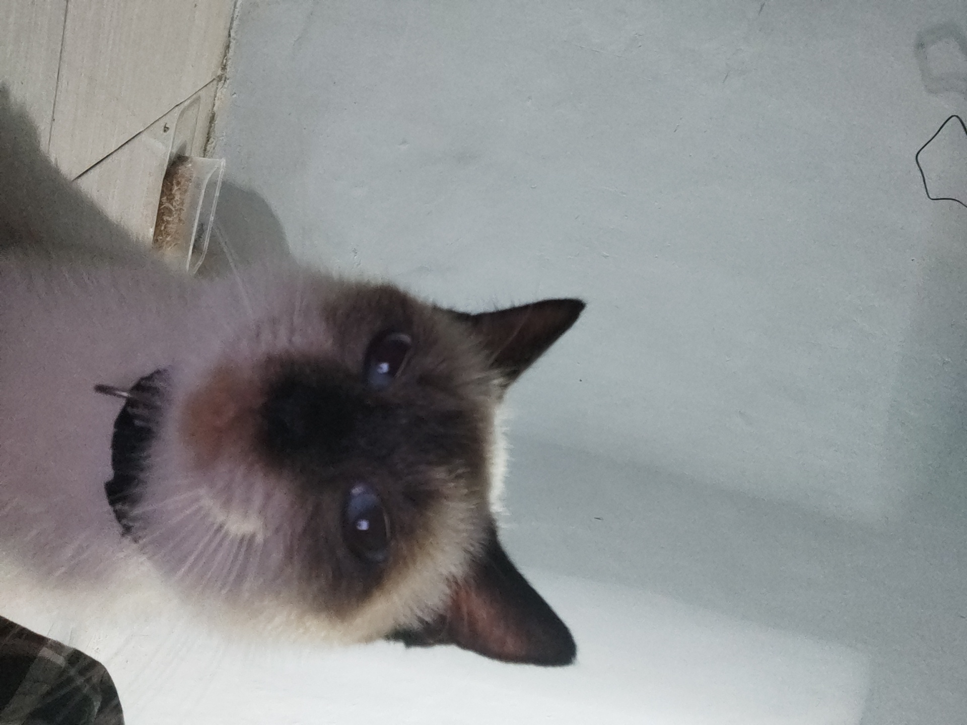 Foto Profil